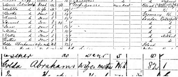 1901 Census Record for Lubnowski family