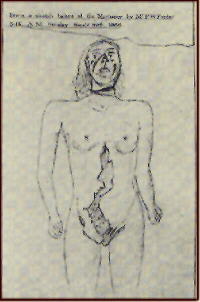 Eddowes drawing of wounds